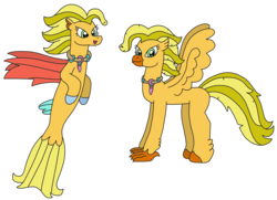 Size: 2784x2013 | Tagged: safe, artist:supahdonarudo, oc, oc only, oc:wave catcher, classical hippogriff, hippogriff, seapony (g4), high res, hippogriff oc, jewelry, necklace, simple background, story included, transparent background