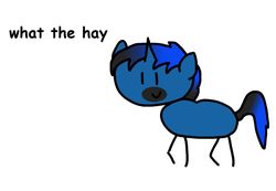 Size: 1024x710 | Tagged: safe, artist:dialliyon, oc, oc:dr meem, pony, unicorn, simple background, stick pony, what the hay?, white background