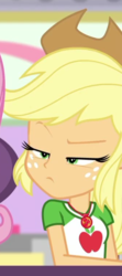 Size: 338x760 | Tagged: safe, screencap, applejack, fluttershy, dashing through the mall, equestria girls, equestria girls series, g4, holidays unwrapped, spoiler:eqg series (season 2), applejack is not amused, applejack's hat, cowboy hat, cropped, female, geode of super strength, hat, magical geodes, solo, unamused