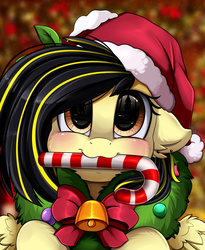 Size: 1446x1764 | Tagged: safe, artist:pridark, oc, oc only, oc:lynx, pegasus, pony, bell, blushing, candy, candy cane, christmas, commission, cute, food, hat, holiday, mouth hold, ocbetes, pridark's christmas ponies, santa hat, solo, wreath, ych result