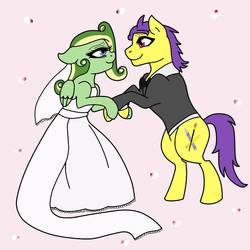 Size: 894x894 | Tagged: safe, artist:didgereethebrony, oc, oc only, oc:boomerang beauty, oc:doodley, earth pony, pegasus, pony, base used, clothes, dancing, doomerang, dress, duo, eye contact, female, flower petals, looking at each other, male, missing accessory, oc x oc, shipping, straight, suit, trace, tuxedo, wedding dress, wedding veil