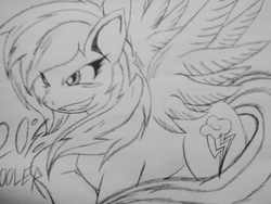 Size: 1280x960 | Tagged: safe, artist:petanoprime, rainbow dash, pegasus, pony, g4, 20% cooler, female, grin, lineart, mare, smiling, solo, text, traditional art