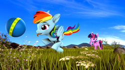Size: 3840x2160 | Tagged: safe, artist:psfmer, rainbow dash, twilight sparkle, alicorn, pegasus, pony, g4, 3d, 4k, ball, behaving like a dog, duo, eyes on the prize, flower, grass, high res, meadow, mountain, revamped ponies, running, sky, source filmmaker, twilight sparkle (alicorn)