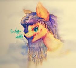 Size: 2564x2278 | Tagged: safe, artist:angusdra, oc, oc only, pony, bust, high res, solo, traditional art, watercolor painting