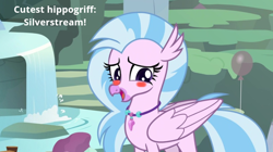 Size: 744x418 | Tagged: safe, edit, edited screencap, screencap, silverstream, hippogriff, g4, student counsel, 1000 hours in ms paint, blushing, cute, diastreamies, female, looking back, reaction image, solo