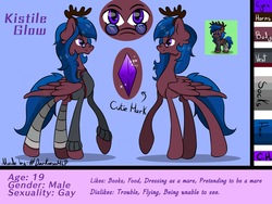 Size: 2800x2100 | Tagged: safe, artist:#darknessmlp, oc, oc:kistile glow, pegasus, pony, femboy, high res, male, reference sheet
