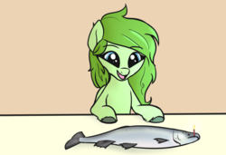 Size: 2090x1429 | Tagged: safe, artist:wenni, oc, oc only, oc:lief, fish, hybrid, pony, salmon, actually salmon for once, birthday, cake, candle, cute, cute little fangs, fangs, food, happy, open mouth, simple background, smiling, solo, unshorn fetlocks