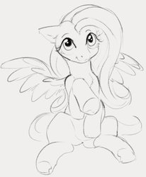 Size: 745x902 | Tagged: safe, artist:dotkwa, fluttershy, pegasus, pony, g4, chest fluff, cute, female, grayscale, human shoulders, mare, monochrome, simple background, sitting, smiling, solo, wings