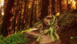 Size: 1180x677 | Tagged: safe, artist:sa-loony, oc, oc only, oc:canella, pony, crepuscular rays, forest, solo
