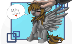 Size: 1920x1200 | Tagged: safe, artist:brainiac, oc, oc only, human, pegasus, pony, belly fluff, blushing, chest fluff, commission, cute, female, hand, heart, mare, ocbetes, petting, simple background, solo, speech, transparent background