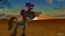 Size: 1920x1080 | Tagged: safe, artist:midwestbrony, apple bloom, spitfire, earth pony, pony, g4, ponies riding ponies, riding, sunset