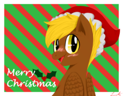 Size: 2100x1650 | Tagged: safe, artist:jagga-chan, oc, oc only, pegasus, pony, bust, christmas, hat, holiday, male, portrait, santa hat, solo, stallion
