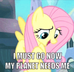 Size: 289x281 | Tagged: safe, edit, edited screencap, screencap, fluttershy, pony, g4, the crystal empire, animated, caption, cropped, female, gif, i must go, image macro, solo, text