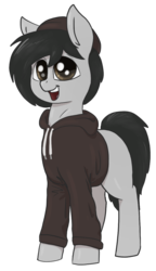Size: 695x1206 | Tagged: safe, artist:t72b, derpibooru exclusive, oc, oc only, oc:mod pone the mod, earth pony, pony, 2020 community collab, derpibooru community collaboration, beanie, clothes, hat, hoodie, male, simple background, solo, stallion, transparent background