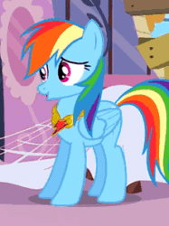 Size: 222x297 | Tagged: safe, screencap, rainbow dash, pegasus, pony, magical mystery cure, season 3, a true true friend, animated, animation error, bouncing, carousel boutique, cropped, cute, dashabetes, element of loyalty, female, gif, loop, mare, open mouth, perfect loop, singing, solo, song, spider web