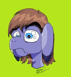 Size: 1792x1928 | Tagged: safe, artist:lucas_gaxiola, oc, oc only, donkey, pony, bust, signature, simple background, solo