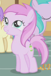 Size: 396x588 | Tagged: safe, screencap, alula, aura (g4), piña colada, pluto, earth pony, pony, call of the cutie, g4, background pony, cropped, female, filly, foal, solo focus