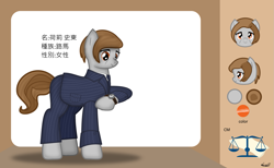 Size: 1465x900 | Tagged: safe, artist:99999999000, oc, oc only, oc:holly stone, earth pony, pony, balance, business suit, chinese, clothes, female, reference sheet, solo, watch, wristwatch