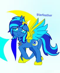 Size: 1080x1326 | Tagged: safe, oc, oc only, oc:star feather, pony, solo