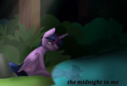 Size: 795x537 | Tagged: safe, artist:filypaws, twilight sparkle, alicorn, pony, g4, crying, cutie mark, female, forest, mare, pond, reflection, sitting, solo, the midnight in me, tree, twilight sparkle (alicorn)