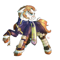 Size: 3000x3000 | Tagged: safe, artist:sourcherry, oc, oc only, unnamed oc, earth pony, pony, armor, clothes, freckles, high res, male, priest, scar, sideburns, solo, stallion, wasteland ventures