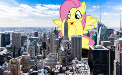 Size: 5833x3620 | Tagged: safe, artist:gtsfets22, artist:slb94, fluttershy, pegasus, pony, g4, absurd resolution, female, giant pony, giantess, highrise ponies, irl, macro, manhattan, mare, new york, new york city, photo, ponies in real life