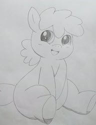 Size: 1576x2048 | Tagged: safe, artist:applebloomlove, oc, oc only, earth pony, pony, earth pony oc, lineart, smiling, solo, traditional art, underhoof