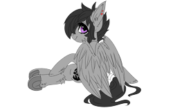 Size: 1920x1200 | Tagged: safe, artist:brainiac, derpibooru exclusive, oc, oc only, oc:ares, pegasus, pony, 2020 community collab, derpibooru community collaboration, chest fluff, female, simple background, solo, transparent background