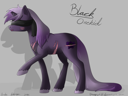 Size: 1600x1200 | Tagged: safe, artist:dreamyartcosplay, oc, oc only, oc:black orchid, pony, unicorn, blindfold, female, male, mare, raised hoof, scar, silhouette, simple background, solo, stallion, text, unshorn fetlocks