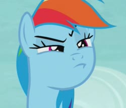 Size: 921x786 | Tagged: safe, screencap, rainbow dash, pegasus, pony, g4, tanks for the memories, cropped, female, mare, narrowed eyes, rainbow dash is best facemaker, raised eyebrow, solo