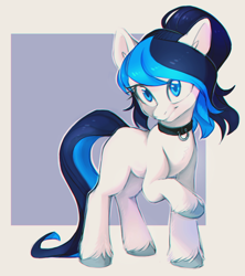 Size: 680x766 | Tagged: safe, artist:ls_skylight, oc, oc only, earth pony, pony, abstract background, collar, female, mare, ponytail, raised hoof, solo, unshorn fetlocks