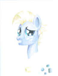 Size: 1482x1920 | Tagged: safe, artist:phat_guy, derpibooru exclusive, star tracker, pony, g4, 2019, awkward smile, bust, colored pencil drawing, freckles, gift art, grin, gritted teeth, looking at you, male, portrait, smiling, solo, traditional art