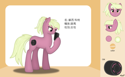 Size: 1465x900 | Tagged: safe, artist:99999999000, oc, oc only, oc:susie cotes, earth pony, pony, cellphone, chinese, female, phone, reference sheet, solo