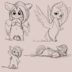 Size: 4000x4000 | Tagged: safe, artist:miokomata, fluttershy, bird, hybrid, pegasus, penguin, pony, g4, behaving like a bird, belly button, chest fluff, featureless crotch, female, floppy ears, freckles, looking at you, mare, monochrome, simple background, white background