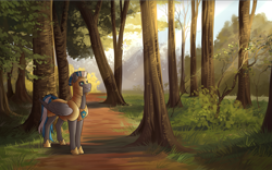 Size: 4465x2786 | Tagged: safe, artist:royvdhel-art, oc, oc only, oc:cloud zapper, pegasus, pony, armor, crepuscular rays, forest, male, solo, stallion