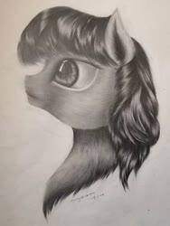 Size: 720x960 | Tagged: safe, artist:henry forewen, twilight sparkle, pony, g4, bust, female, monochrome, sketch, solo, traditional art