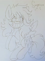 Size: 2783x3810 | Tagged: safe, surprise, pegasus, pony, g1, high res, traditional art