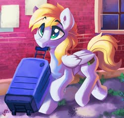 Size: 1280x1220 | Tagged: dead source, safe, artist:saxopi, oc, oc only, oc:cutting chipset, pegasus, pony, luggage, male, mouth hold, solo