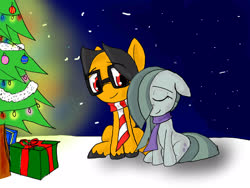 Size: 2048x1536 | Tagged: safe, artist:a.s.e, marble pie, oc, oc:a.s.e, earth pony, pony, g4, canon x oc, christmas, christmas tree, clothes, couple, duo, female, floppy ears, gift wrapped, hair over one eye, happy, holiday, male, night, present, scarf, smiling, snow, tree