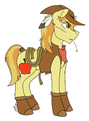Size: 1590x2154 | Tagged: safe, artist:phobicalbino, braeburn, earth pony, pony, g4, boots, clothes, cowboy hat, feather in hair, hat, male, rope, scar, shoes, simple background, solo, stallion, straw in mouth, tail wrap, white background