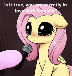 Size: 391x417 | Tagged: safe, artist:moozua, edit, fluttershy, starlight glimmer, pegasus, pony, g4, big eyes, blushing, crying, crying cat, cute, dilated pupils, female, floppy ears, hoof hold, implied lesbian, implied shipping, implied smolder, implied smoldershy, looking at you, mare, meme, microphone, missing cutie mark, offscreen character, ponified animal photo, ponified meme, sad, sadorable, sitting, solo focus, teary eyes