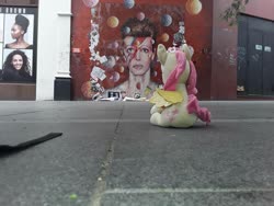 Size: 960x720 | Tagged: safe, fluttershy, pegasus, pony, g4, aladdin sane, brixton, david bowie, female, fluttershy plushie, irl, london, mare, murals, photo, plushie, ponies in real life, public, sitting, solo, street art