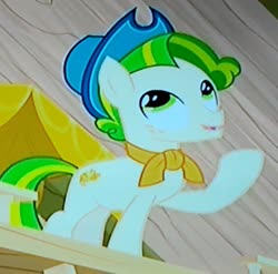 Size: 1702x1682 | Tagged: safe, screencap, pistachio, earth pony, pony, g4, my little pony best gift ever, cropped, hat, looking at something, looking up, male, photo, picture of a screen, raised hoof, solo, stallion