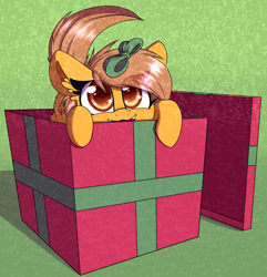 Size: 2340x2424 | Tagged: safe, artist:lockheart, oc, oc:meadow stargazer, earth pony, pony, behaving like a cat, box, christmas gift, cute, female, high res, hnnng, looking at you, mare, smiling