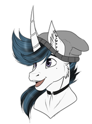 Size: 3541x4765 | Tagged: safe, artist:caff, oc, oc only, pony, head shot, male, simple background, solo, stallion, transparent background