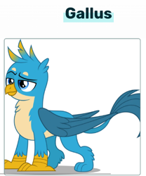 Size: 371x446 | Tagged: safe, gallus, g4, official, school daze, concept art, male, raised eyebrow, shadow, solo, wikia