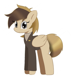 Size: 1200x1300 | Tagged: safe, artist:iix_frank, artist:spinostud, oc, oc only, oc:coffe, pegasus, pony, 2020 community collab, derpibooru community collaboration, clothes, female, simple background, solo, transparent background