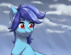 Size: 1280x991 | Tagged: safe, artist:tigra0118, oc, oc only, earth pony, pony, blue, commission, looking at something, male, pony oc, sky, solo