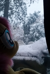 Size: 654x955 | Tagged: safe, artist:joltage, fluttershy, pegasus, pony, g4, female, irl, photo, plushie, snow, solo