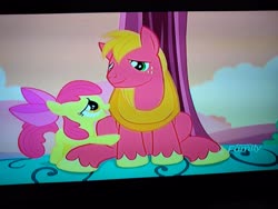 Size: 4160x3120 | Tagged: safe, screencap, apple bloom, big macintosh, earth pony, pony, brotherhooves social, g4, brother and sister, discovery family logo, female, happy, hoof on hoof, hooves between legs, looking at each other, male, picture of a screen, siblings, sitting, smiling, tree